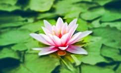 Parm's Yoga | Personal Growth | How to Let Go and Find Peace and Happiness how to let go | How to Let Go and Find Peace and Happiness