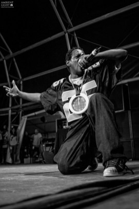 Portfolio_PublicEnemy Public Enemy
