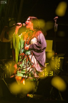 Portfolio_Bjork Björk performing live in Auckland, 2008. Shot by New Zealand music photographer Doug Peters.