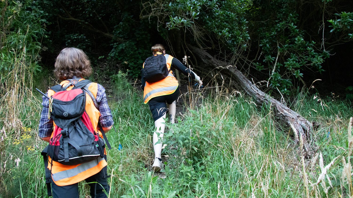 Two women in high-vis vests walking up a hill towards some trees.