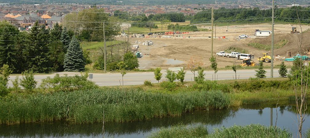 Wetland loss and degradation, Aurora, subdivisions, industrial construction, urban expansion, watershed degradation, biodiversity loss, habitat loss
