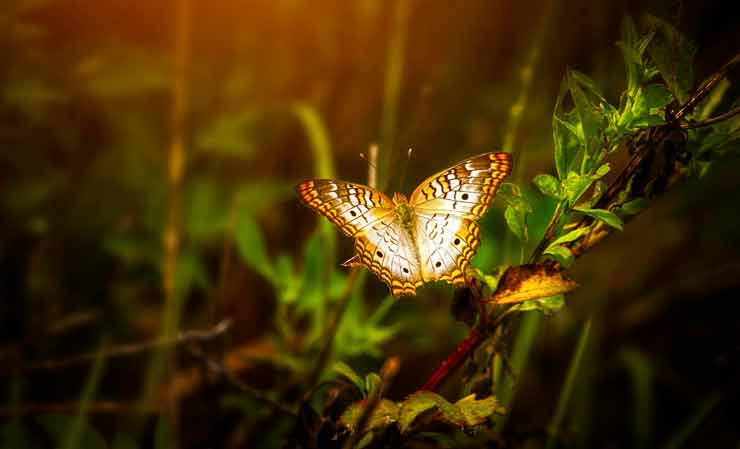 Parm's Yoga | Spiritual Growth | How Long Does a Spiritual Awakening Last how long does a spiritual awakening last | How Long Does a Spiritual Awakening Last