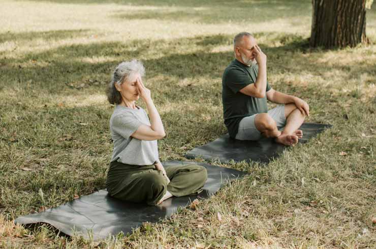 Parm's Yoga | Yoga Philosophy | The 5 Vrittis – How to Live in the Present Moment 5 vrittis | The 5 Vrittis – How to Live in the Present Moment