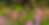 Six Messages from a Wild Garden Six Messages from a Wild Garden
