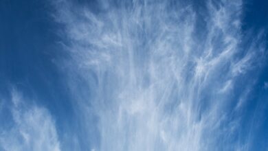 The difference between the meaning of the Patriarch and that of the Sutras (1) – Zen Fools The difference between the meaning of the Patriarch and that of the Sutras (1) – Zen Fools