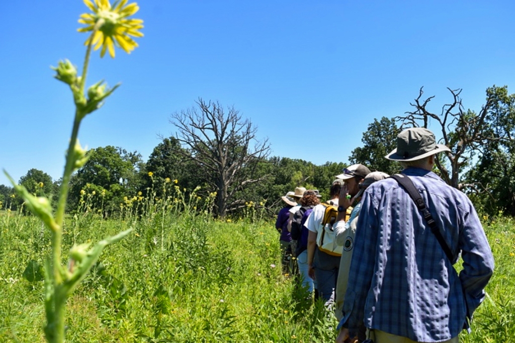 Volunteer bee monitors at a training session. Photo © Eileen Davis.