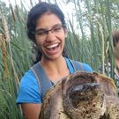 Smera Sukumar Smera Sukumar holding a snapping turtle