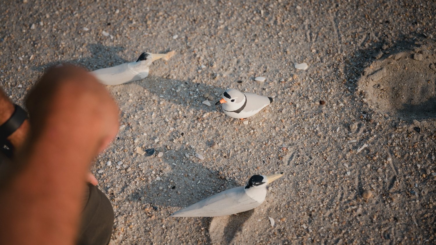 Three small wooden bird figurines on the sand.