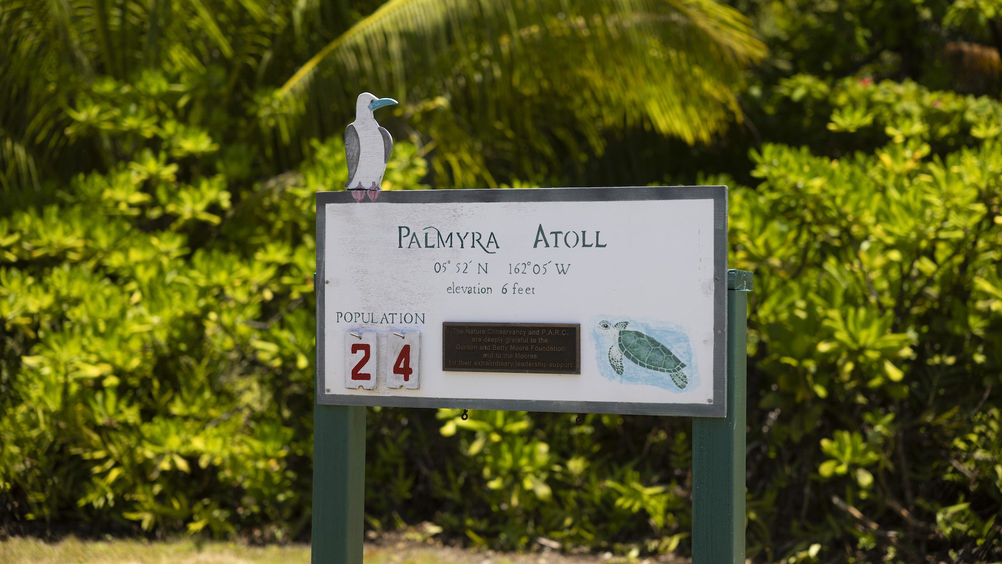 A white sign that reads Palmyra Atoll set against vegetation.