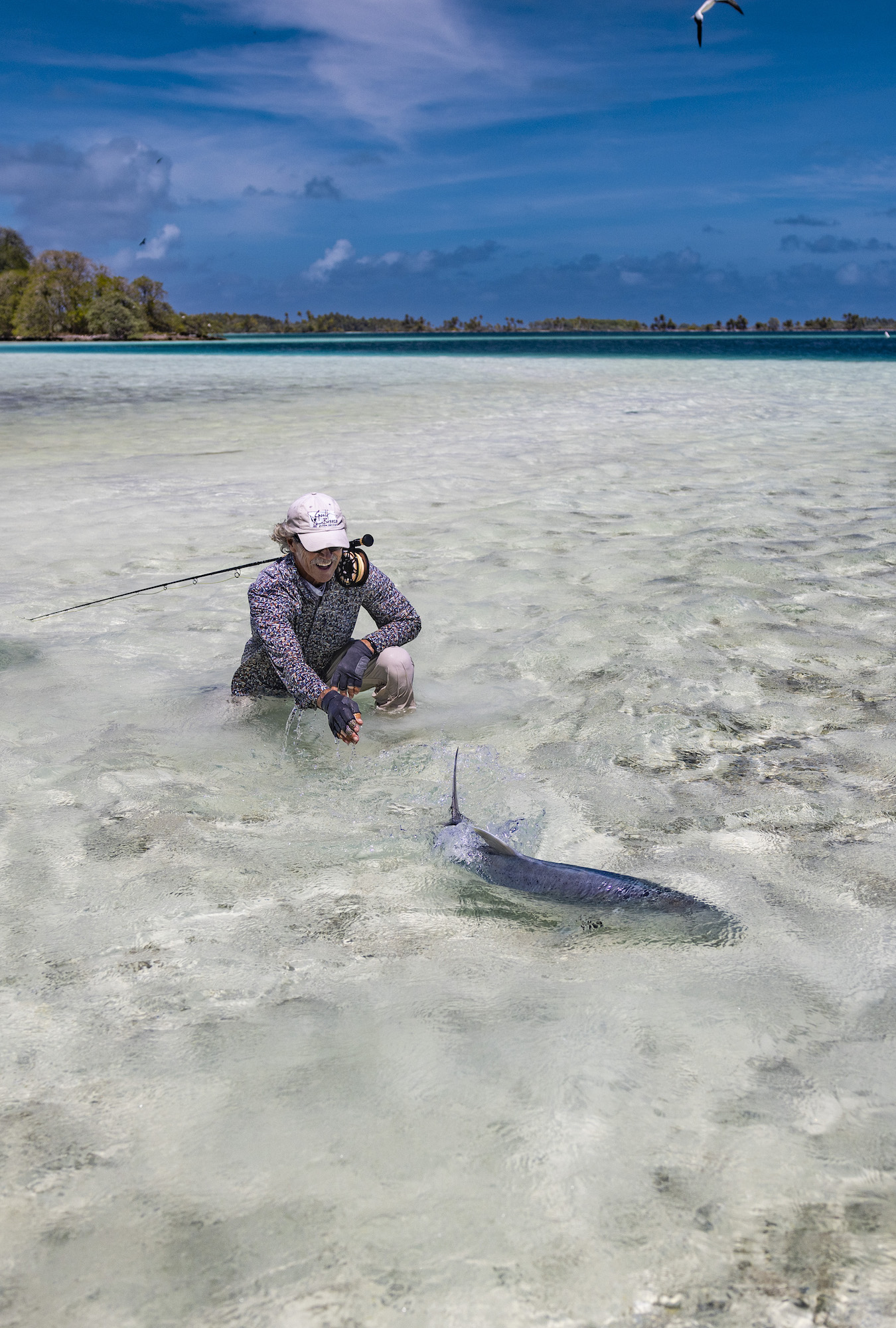 A man kneeling in the shallows off an island, as a fish swims away.