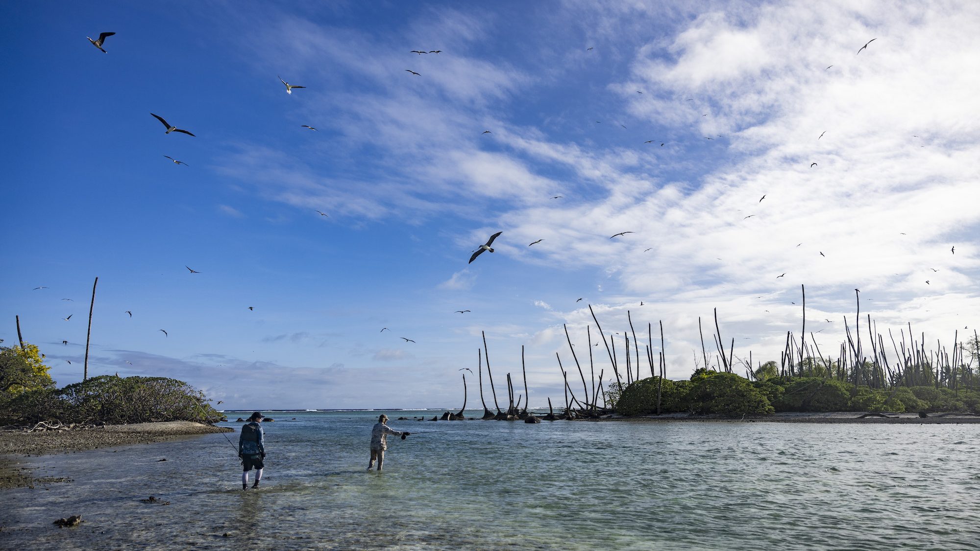 Two people standing in the shallows. A forest is in the distance while birds circle overhead.