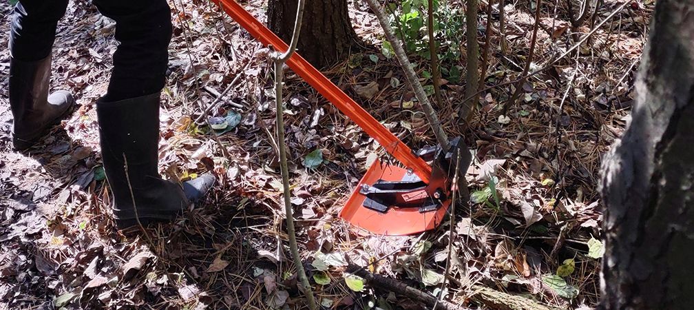 Extractigator: Huron Bruce Nature Steward Jim Roberts removes buckthorn saplings using an extractigator tool
