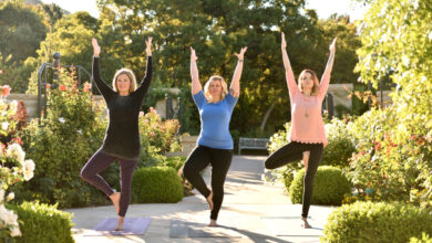 6 Elements that Keep Us Upright 6 Elements that Keep Us Upright