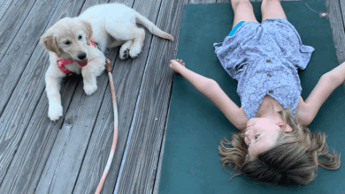6 Life Lessons from Yoga Class