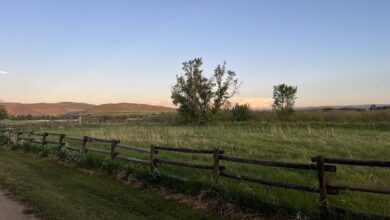 A Bird’s Eye View: Drones Search for Grassland Birds in Colorado A Bird’s Eye View: Drones Search for Grassland Birds in Colorado