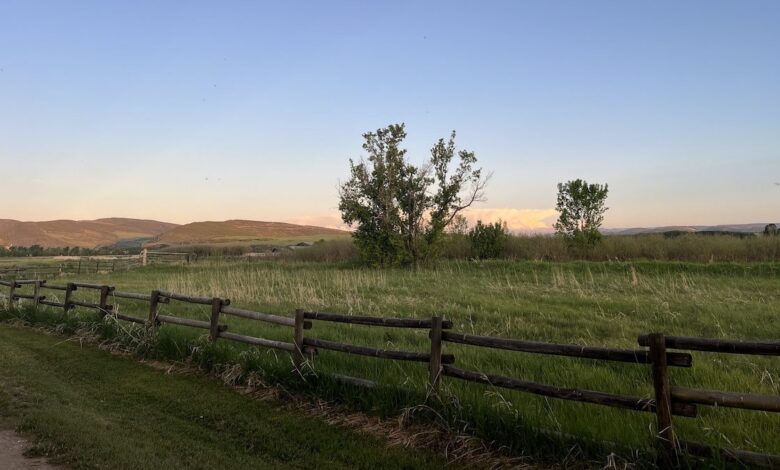 A Bird’s Eye View: Drones Search for Grassland Birds in Colorado A Bird’s Eye View: Drones Search for Grassland Birds in Colorado