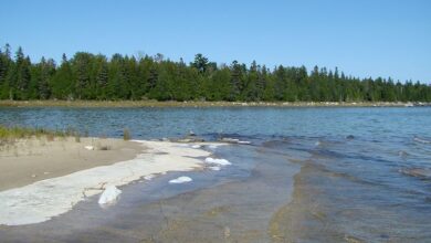 A Landmark Decision: Donating Land to Be Protected Forever A Landmark Decision: Donating Land to Be Protected Forever