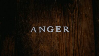 Anger – About Meditation