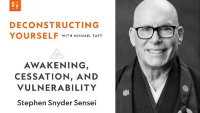 Awakening, Cessation, and Vulnerability, with Stephen Snyder Awakening, Cessation, and Vulnerability, with Stephen Snyder