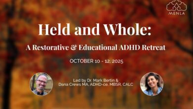 Awareness in Action: Rethinking ADHD Through Mindfulness Awareness in Action: Rethinking ADHD Through Mindfulness