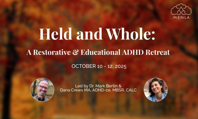 Awareness in Action: Rethinking ADHD Through Mindfulness Awareness in Action: Rethinking ADHD Through Mindfulness