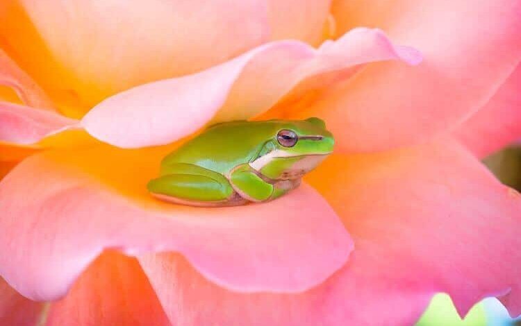 Practice Presence With Stillness Meditation Practice Presence With Stillness Meditation