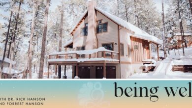 Being Well Podcast: The Being Well Holiday Survival Guide Being Well Podcast: The Being Well Holiday Survival Guide