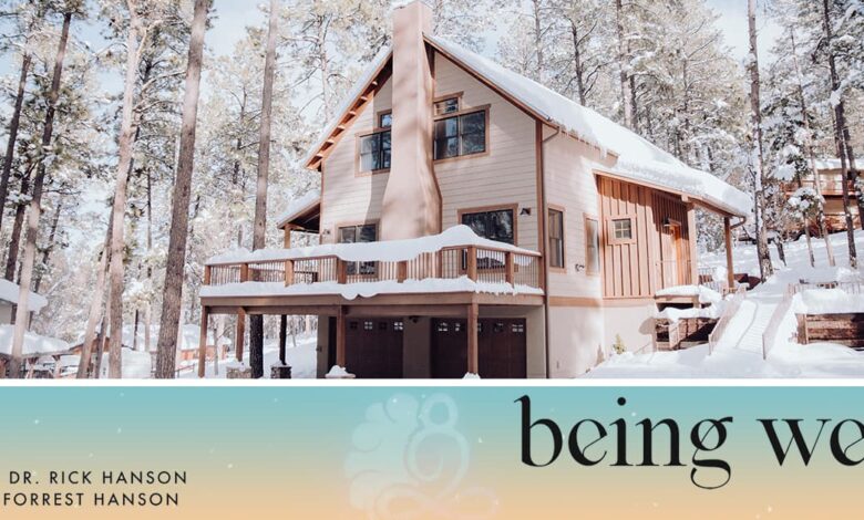 Being Well Podcast: The Being Well Holiday Survival Guide Being Well Podcast: The Being Well Holiday Survival Guide