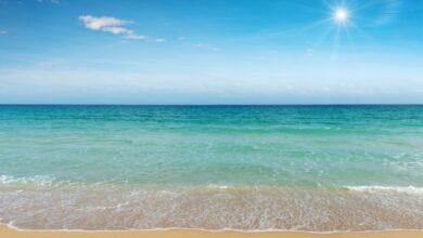 Blue Spaces: The Surprising Health Benefits of Being Near Water