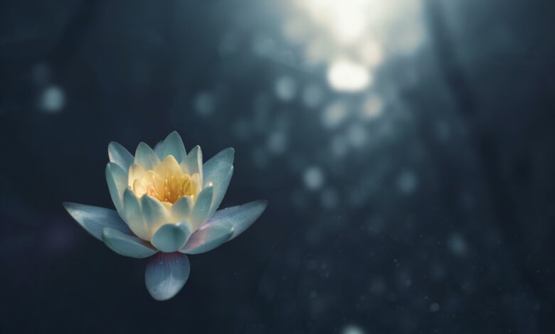 Body Scan Guided Meditation (New) Body Scan Guided Meditation (New)