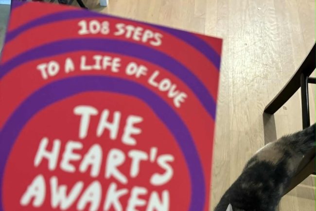 Books and cats – Wildmind