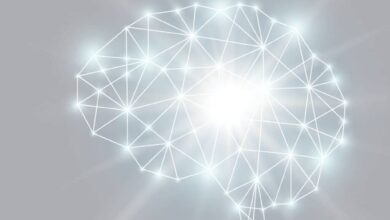 Brain Awake: Finding the Gold in Our Untapped Potential with Joseph Kao
