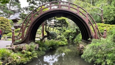Bridge to Nowhere – Disquiet Bridge to Nowhere – Disquiet