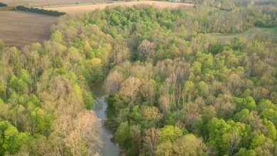 Budget 2025 Puts Ontario’s Nature at Risk: Here’s Why. Budget 2025 Puts Ontario’s Nature at Risk: Here’s Why.