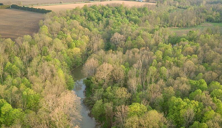 Budget 2025 Puts Ontario’s Nature at Risk: Here’s Why. Budget 2025 Puts Ontario’s Nature at Risk: Here’s Why.