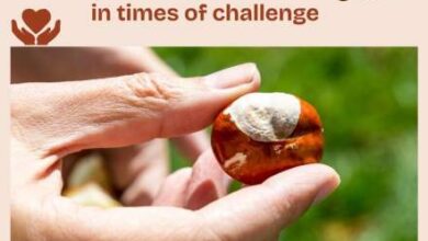 Calming Anchors in Times of Challenge – BodyIntelligence Calming Anchors in Times of Challenge – BodyIntelligence