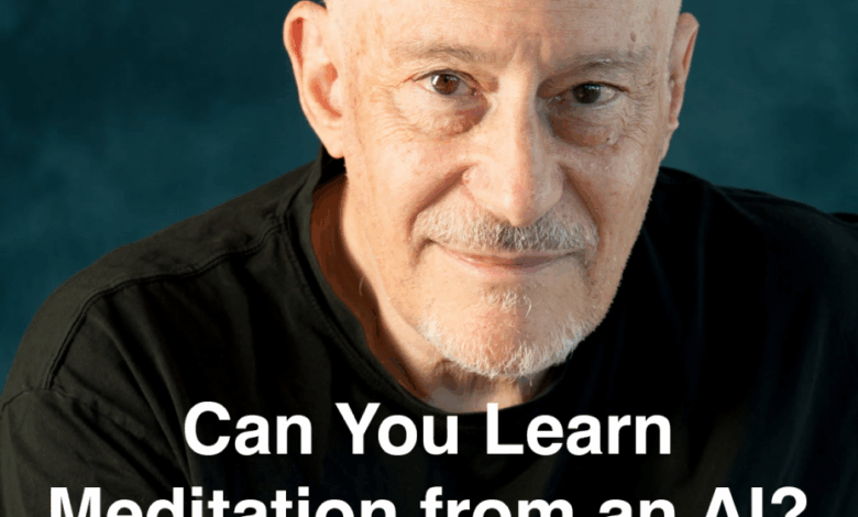 Can You Learn Meditation from an AI? – with Shinzen Young Can You Learn Meditation from an AI? – with Shinzen Young