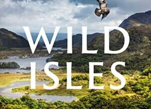 Celebrating the monumental Wild Isles Series and the launch of New Itinerary – Shetland Nature Celebrating the monumental Wild Isles Series and the launch of New Itinerary – Shetland Nature