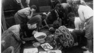Charting New Waters: The Scientific Legacy of the Women of the Arcturus Expedition | Blog | Nature