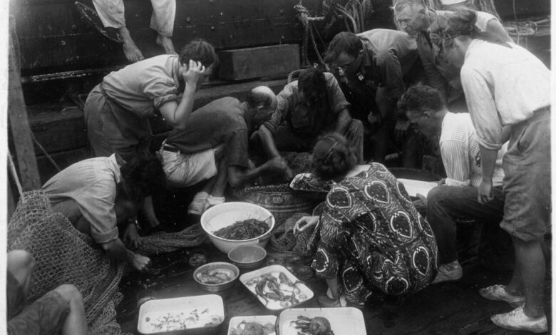 Charting New Waters: The Scientific Legacy of the Women of the Arcturus Expedition | Blog | Nature Charting New Waters: The Scientific Legacy of the Women of the Arcturus Expedition | Blog | Nature