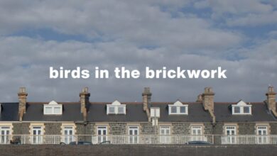 Coastal Study #1 by Birds in the Brickwork – Stationary Travels Coastal Study #1 by Birds in the Brickwork – Stationary Travels