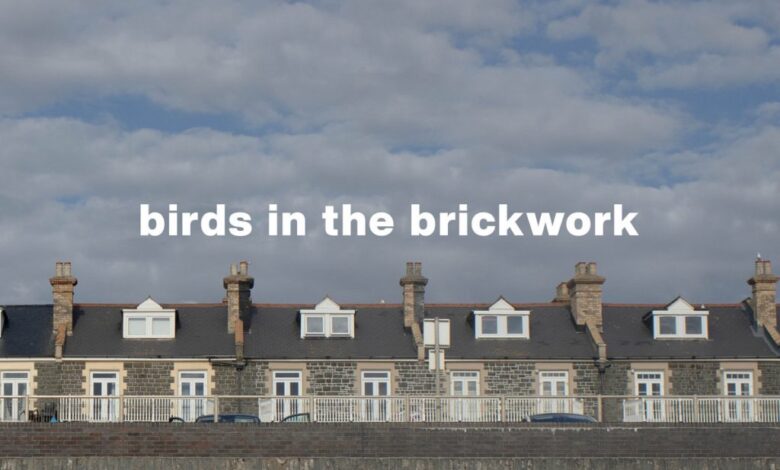 Coastal Study #1 by Birds in the Brickwork – Stationary Travels Coastal Study #1 by Birds in the Brickwork – Stationary Travels