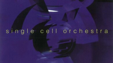 Collected: Vol 8