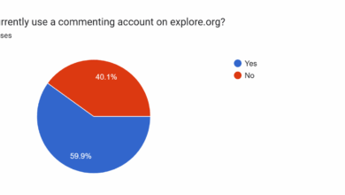 Comment System Survey Results | Explore