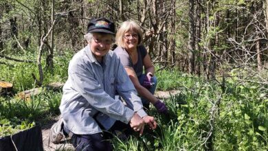 Controlling Invasive Species: A Small Victory for Local Conservation Controlling Invasive Species: A Small Victory for Local Conservation