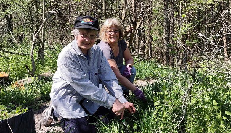 Controlling Invasive Species: A Small Victory for Local Conservation