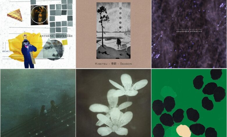 Early Summer Drift – Stationary Travels Early Summer Drift – Stationary Travels