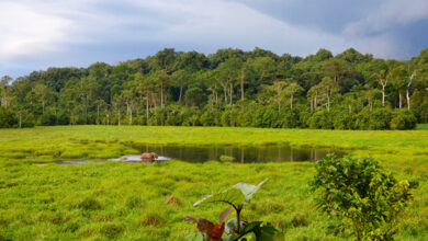 Earth Day Is a Time to Focus on Natural Security | Blog | Nature Earth Day Is a Time to Focus on Natural Security | Blog | Nature