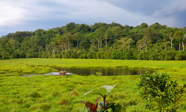 Earth Day Is a Time to Focus on Natural Security | Blog | Nature Earth Day Is a Time to Focus on Natural Security | Blog | Nature