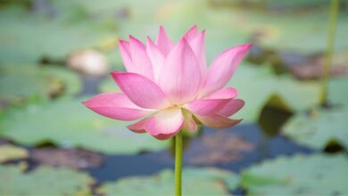 Everyday Mindfulness + Intimacy – Spoiled Yogi Everyday Mindfulness + Intimacy – Spoiled Yogi
